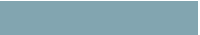 Selman Munson Lerner blue rectangle icon